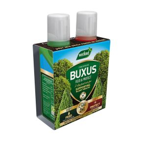 Westland 2 in1 Feed and Protect Buxus